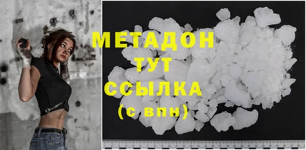 прущие грибы Вяземский