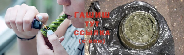 прущие грибы Вяземский