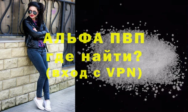 сатива Волосово