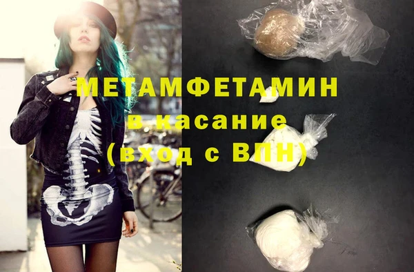 прущие грибы Вяземский