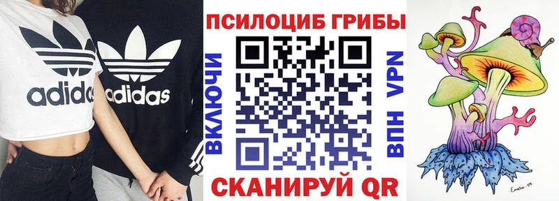 Галлюциногенные грибы ЛСД  закладка  Жуков 